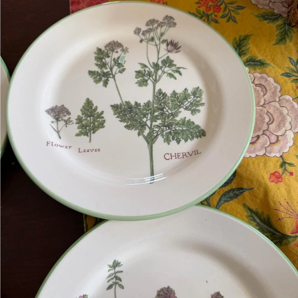 Williams Sonoma Botanical Herb salad Plates Set 6